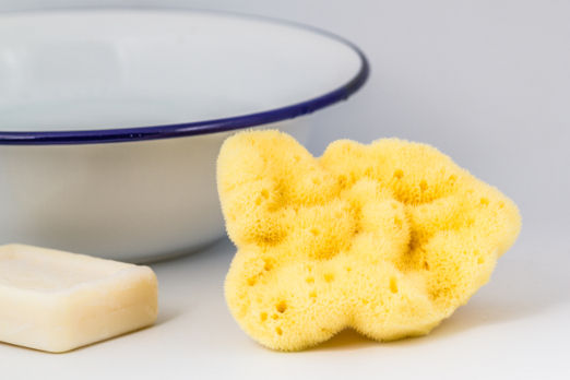 Y - Body cleansing sponge - second choice